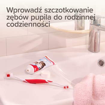 Beaphar Dental Kit, zestaw do czyszczenia zębów dla psów i kotów, 1 szt.