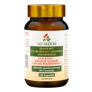 My Herbs Ekstrakt z karczocha i mniszka lekarskiego, kapsułki, 120 szt. https://azcdn.doz.pl/image/d/product/80bcb30f-scale-180x180.png