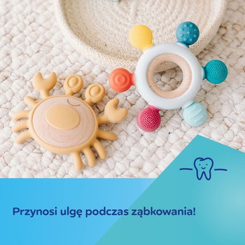 Canpol Babies, gryzak drewniano-silikonowy dla niemowląt STER, 1 szt.