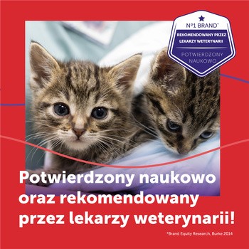 Feliway Friends, zestaw: dyfuzor i wkład uzupełniający 48 ml, 1 szt.