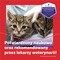 Feliway Friends, zestaw: dyfuzor i wkład uzupełniający 48 ml, 1 szt.