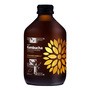 VIGO Kombucha z yerba mate, napój herbaciany, 330 ml
