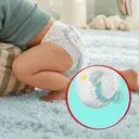Pampers Premium Care Pants 6 (13-19 kg), pieluchomajtki jednorazowe, 93 szt.
