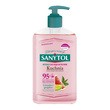 Sanytol Kuchnia, mydło antybakteryjne do rąk, grapefruit i limonka, 250 ml