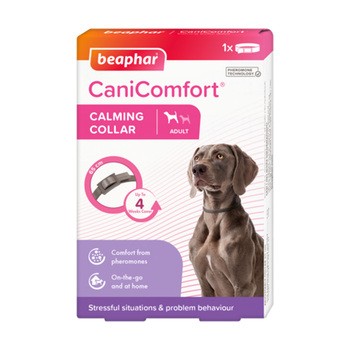 Beaphar CaniComfort Calming Collar Dog, obroża z feromonami dla psów, 65 cm, 1 szt.