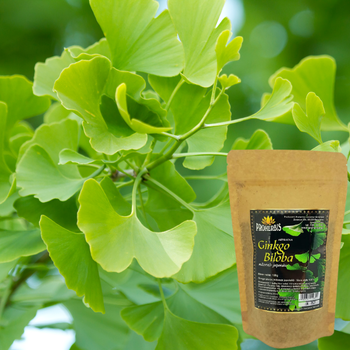 Proherbis Gerbatka Ginkgo Biloba, liście cięte, 100 g