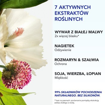 Phyto 7 Elixir, uniwersalny krem do włosów na dzień, 50 ml