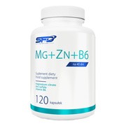 SFD Mg + Zn + B6, kapsułki, 120 szt. https://azcdn.doz.pl/image/d/product/e5453d3d-scale-180x180.png