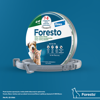 Foresto, obroża dla kotów i małych psów do 8 kg, 1 szt.