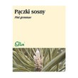 Pączki sosny, zioło pojedyncze, 50 g (Flos)