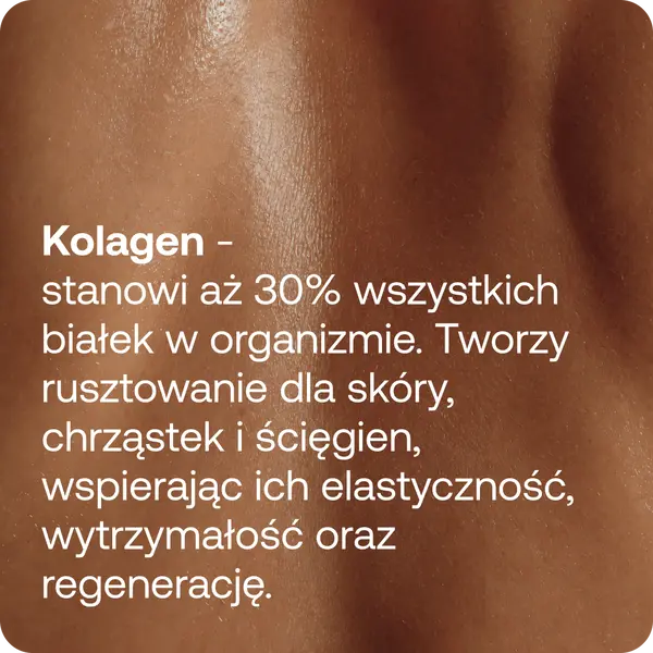 Коллаген в порошке ForMeds Powder Collagen Multi, 4 источника коллагена, с эластином, 30 порций — фото 4