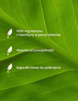 Essensey L-karnityna, kapsułki, 90 szt.