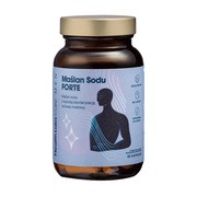 Health Labs Maślan Sodu Forte Men, kapsułki, 60 szt.