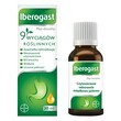 Iberogast, płyn doustny, 20 ml