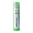 Boiron Hekla lava, 5CH, granulki, 4 g