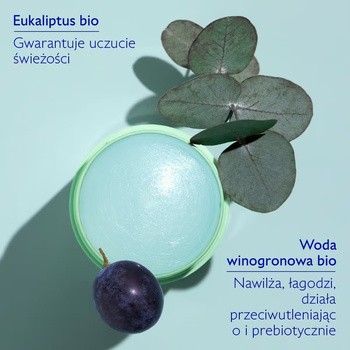 Caudalie Vinofresh, naturalny dezodorant 24h, sztyft, 50 g