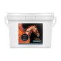 Yarrowia Equinox Electrolyte, mieszanka paszowa mineralna dla koni, granulat, 3 kg