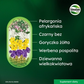 Sinulan Forte, tabletki powlekane, 60 szt.