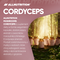 Allnutrition Mushrooms Cordyceps, kapsułki, 60 szt.