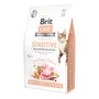Brit Care Cat Grain-Free Sensitive, karma sucha dla dorosłych kotów o wrażliwym przewodzie pokarmowym, indyk i łosoś, 2 kg