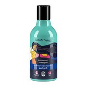 Gift of Nature by Vis Plantis, szampon regenerujący do włosów suchych, 300 ml