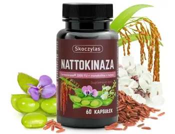 Skoczylas Nattokinaza Fermokinase 2000 FU + monakolina + rutyna, kapsułki, 60 szt.