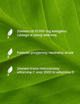 Essensey Kolagen Rybi Premium 10 000 mg, proszek, smak neutralny, 306 g