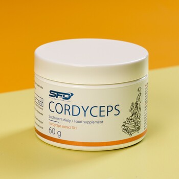SFD Cordyceps, proszek, 60 g