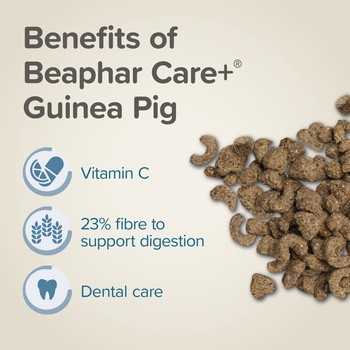 Beaphar Care+ Guinea Pig, karma dla świnek morskich, 1,5 kg