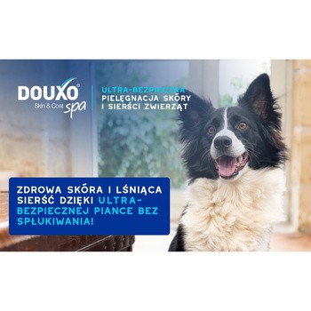 Douxo Spa Quick Refresh Dog Mousse, Pianka bez spłukiwania dla psów, 150 ml