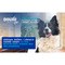 Douxo Spa Quick Refresh Dog Mousse, Pianka bez spłukiwania dla psów, 150 ml