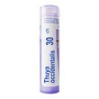 Boiron Thuya occidentalis, 30 CH, granulki, 4 g