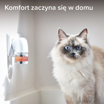 Beaphar CatComfort Excellence Kot, zestaw startowy z dyfuzorem, 48 ml