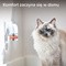 Beaphar CatComfort Excellence Kot, zestaw startowy z dyfuzorem, 48 ml