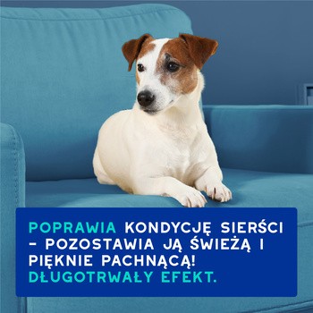 Douxo Spa Odour Control, szampon neutralizujący zapach dla psów, 250 ml