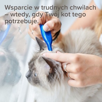 Beaphar CatComfort Calming Spot-On dla kotów, 3 x 0,55 ml
