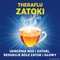 Theraflu Zatoki, 650 mg+10 mg, proszek w saszetkach do sporządzania roztworu doustnego,10 szt.