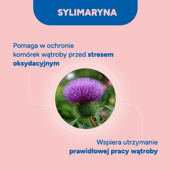 Lacium 50+, kapsułki twarde, 30 szt.