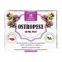 Ostropest 80 mg Plus, tabletki powlekane, 30 szt.