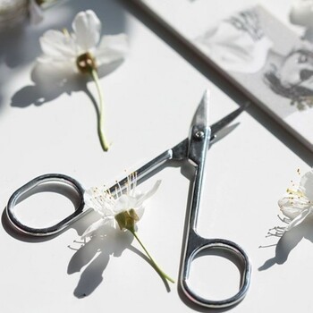 Donegal, nożyczki do paznokci, 1 szt.