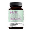 Biolit Toksidont Maj Plus, płyn, 75 ml