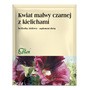 Flos Kwiat malwy czarnej z kielichami, herbatka ziołowa, 50 g