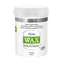 WAX angielski PILOMAX NaturClassic Aloes, maska regenerująca do włosów cienkich, 240 ml
