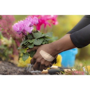 Plastry Viscoplast Duo, plastry, 8 szt.