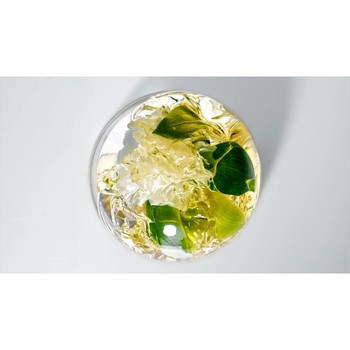 Phyto 7 Elixir, nawilżający olejek wzmacniający do włosów, 100 ml