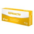 Vetfood Nefroactiv, preparat wspierający funkcjonowanie nerek dla psów i kotów, kapsułki, 60 szt.
