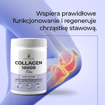 BetterMe Collagen 10000 Flex, proszek, 450 g