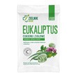 ZIELNIK DOZ Eukaliptus, cukierki ziołowe, 60 g