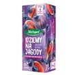 Herbapol Idziemy na jagody, torebki, 20 szt.