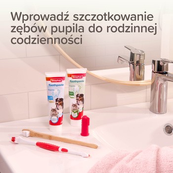 Beaphar, szczoteczka do zębów dla psów i kotów, dwugłowicowa, 1 szt.
